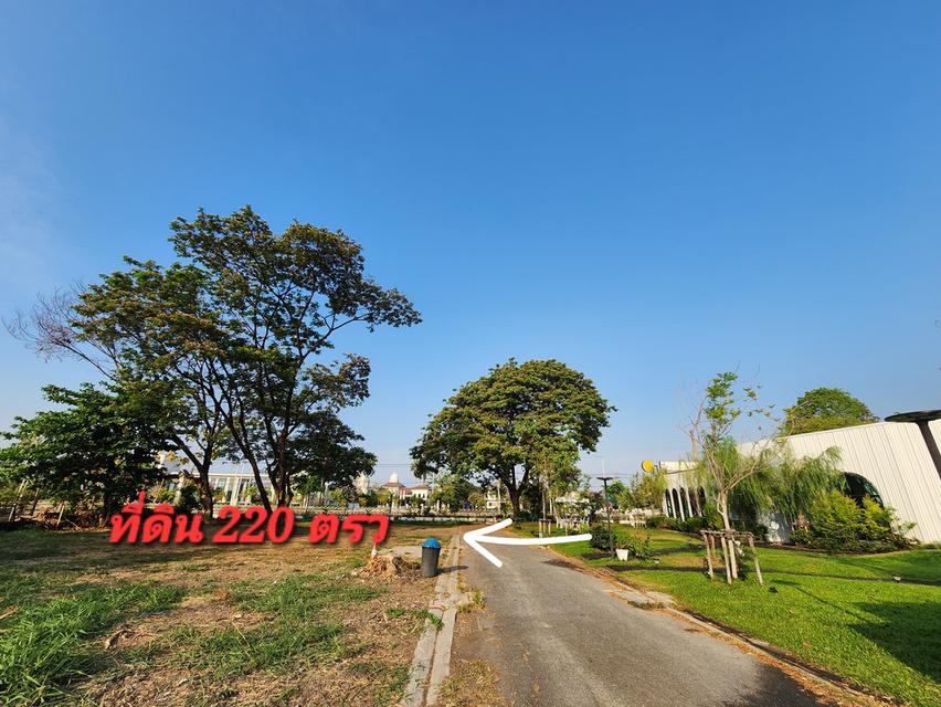 ที่ดินเปล่า 220ตรว. ริมคลองทวีวัฒนา กรุงเทพ 14