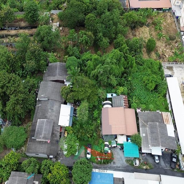 ขายที่ดิน4-0-74 ไร่ ซ.เรวดี46 ผังสีส้ม ทำเลดี ราคาพร้อมคุย 4