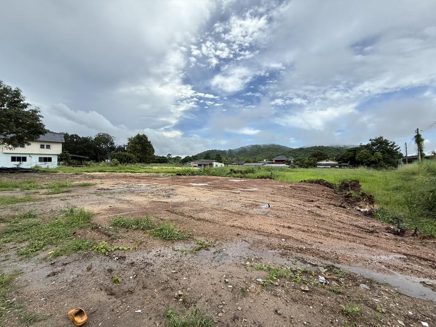 ที่ดิน 3