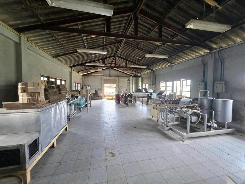 ขายกิจการ "โรงกลั่นสุราภูเถา" สุราพื้นบ้านมาตรฐานส่งออก พร้อมที่ดิน 26 ไร่ และ Know-How จากผู้เชี่ยวชาญ ที่คิดค้นพัฒนาต่อยอดมากว่า 10 ปี 5