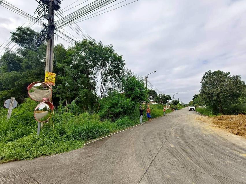 ที่ดิน 4