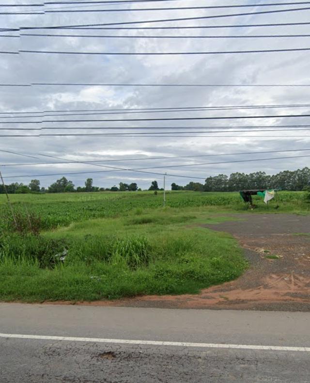 ขายที่ดิน ปักธงชัย ใกล้สหกรณ์ ลาน3 5