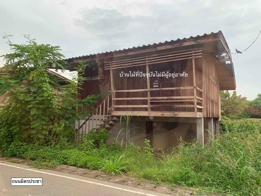 ขายถูก! ที่ดินติดแม่น้ำเกือบ 9 ไร่ในลำพูน ราคาเริ่มต้นแค่ 1.6 ล้านบาท 7