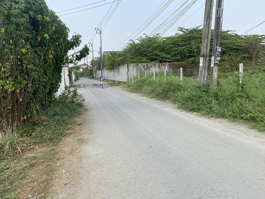 ขายวาละ 45,000 บาท ที่ดิน 1 ไร่ ซอยนวมินทร์ 111 แยก 7 4