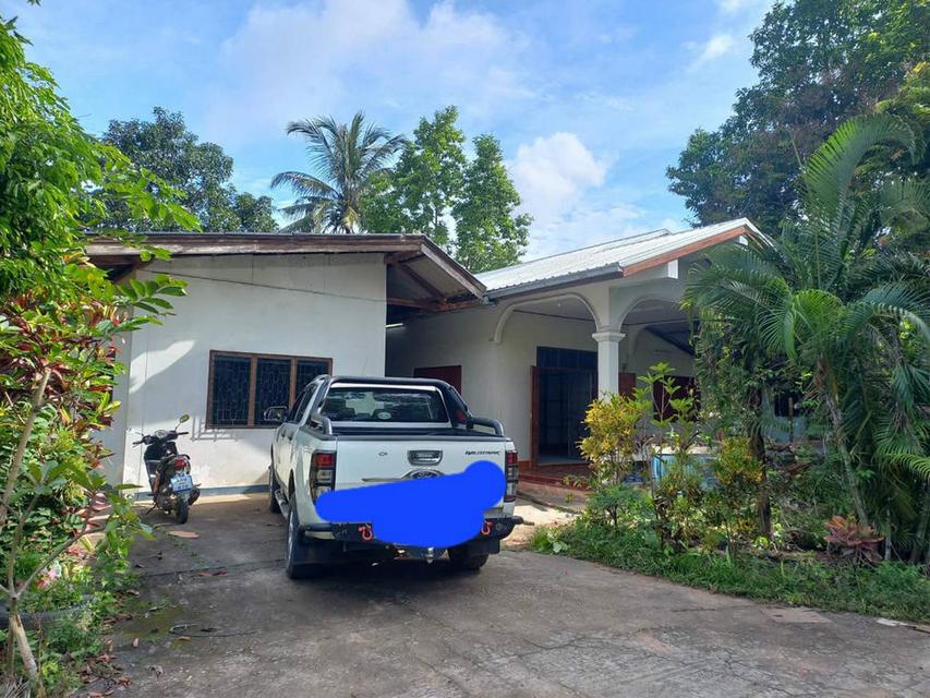 ขายที่ดินสิ่งปลูกสร้าง 13-3-22 ไร่ สวนมะม่วงน้ำดอกไม้ ตำบลพระธาตุผาแดง อำเภอแม่สอด จังหวัดตาก 9