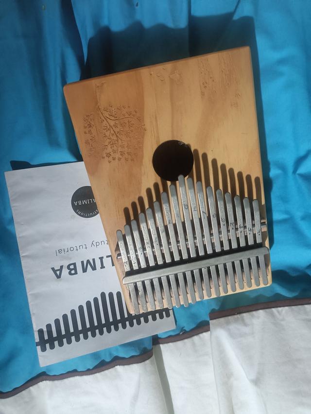 kalimba คาลิมบา เครื่องดนตรี 3