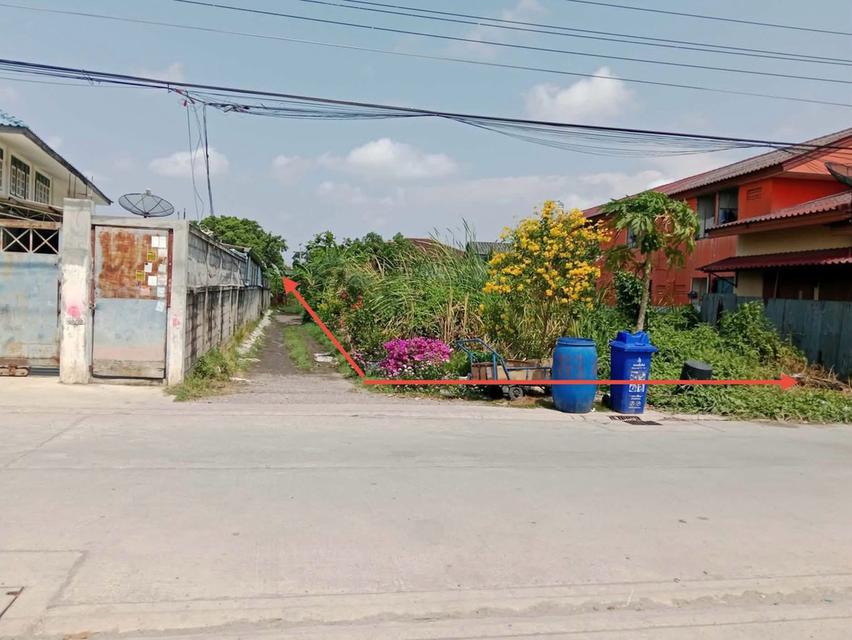 ขายที่ดิน 100 ตรวเศษ 8