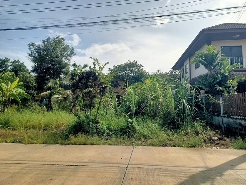 ที่ดินในกรุงเทพเขตหนองจอก 4