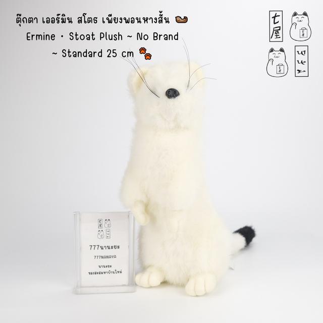 ตุ๊กตา เออร์มิน สโตธ เพียงพอนหางสั้น 🦦 Ermine ・ Stoat Plush ~ No Brand ~ Standard 25 cm 🐾