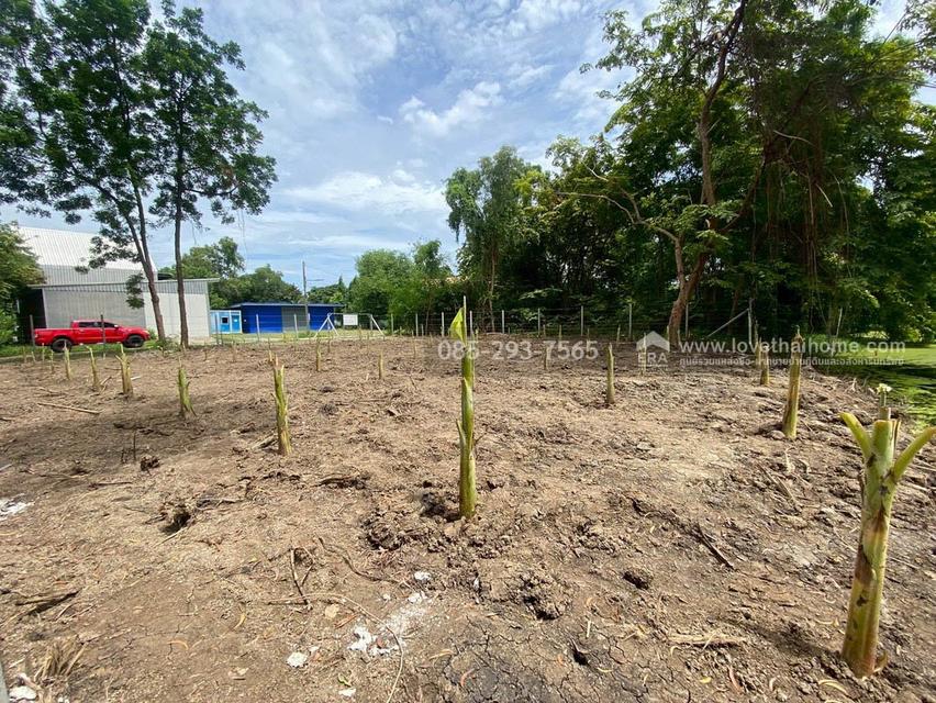 ขายที่ดิน หมู่บ้านเลคการ์เด้นวิลล์ รังสิต คลอง3 ธัญบุรี รังสิต-นครนายก68 พื้นที่ 155 ตรว ด้านหลังติดเลค ใกล้ฟิวเจอร์พาร์ค รังสิต 8