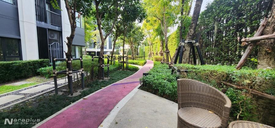 69010068 : ขายห้องชุดพักอาศัย แบบ 1 ห้องนอน พื้นที่ขนาด 36.12 ตรม. ASPIRE สุขุมวิท-อ่อนนุช คุ้มค่า น่าอยู่ กระเป๋าใบเดียวเข้าอยู่ได้เลย กู้ได้ 100% 18