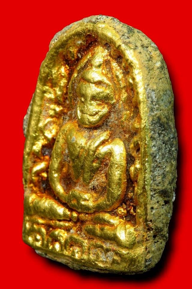 ซุ้มกอเนื้อว่านหน้าทอง รูปที่ 2