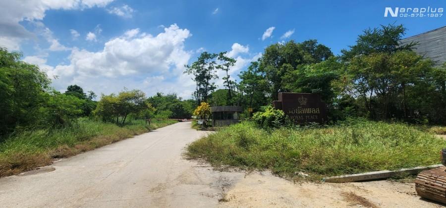 69070358 : ขายที่ดินเปล่าราคาต่ำกว่าประเมิน ขนาด 329 ตร.ว. ทำเลดีในโครงการ รอยัล เพลส (Royal Place) บนถนนบางนา-ตราด กม.26 บางบ่อ สมุทรปราการ 12