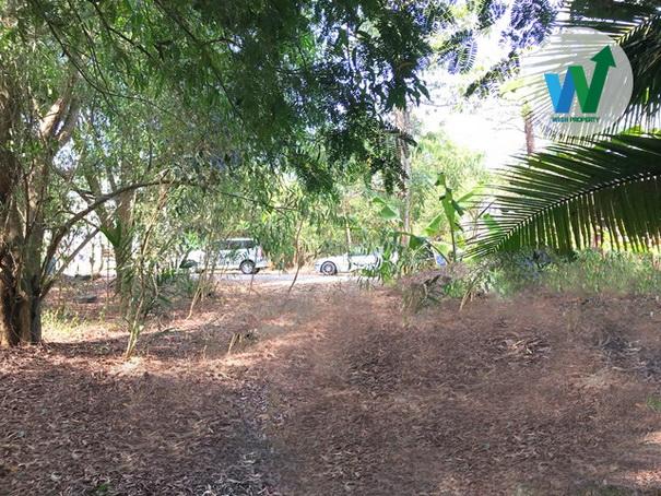 ขายที่ดินเปล่า 63 ตร.ว. น้ำไฟเข้าถึงแล้ว กว้าง 14 ม. ลึก 18 ม. รูปสี่เหลี่ยมผืนผ้า ใกล้โรงเรียนชุมชนบึงบาหนองเสือ 5