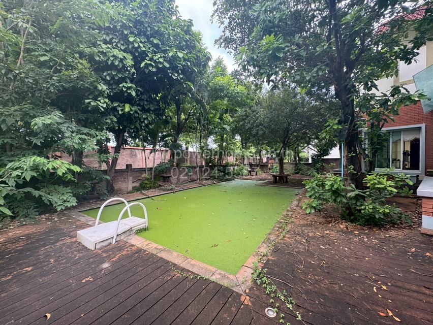 หมู่บ้านลัดดารมย์ อิลิแกนซ์ รามคำแหง ซอยรามคำแหง 118 แขวงสะพานสูง เขตสะพานสูง กรุงเทพมหานคร 5