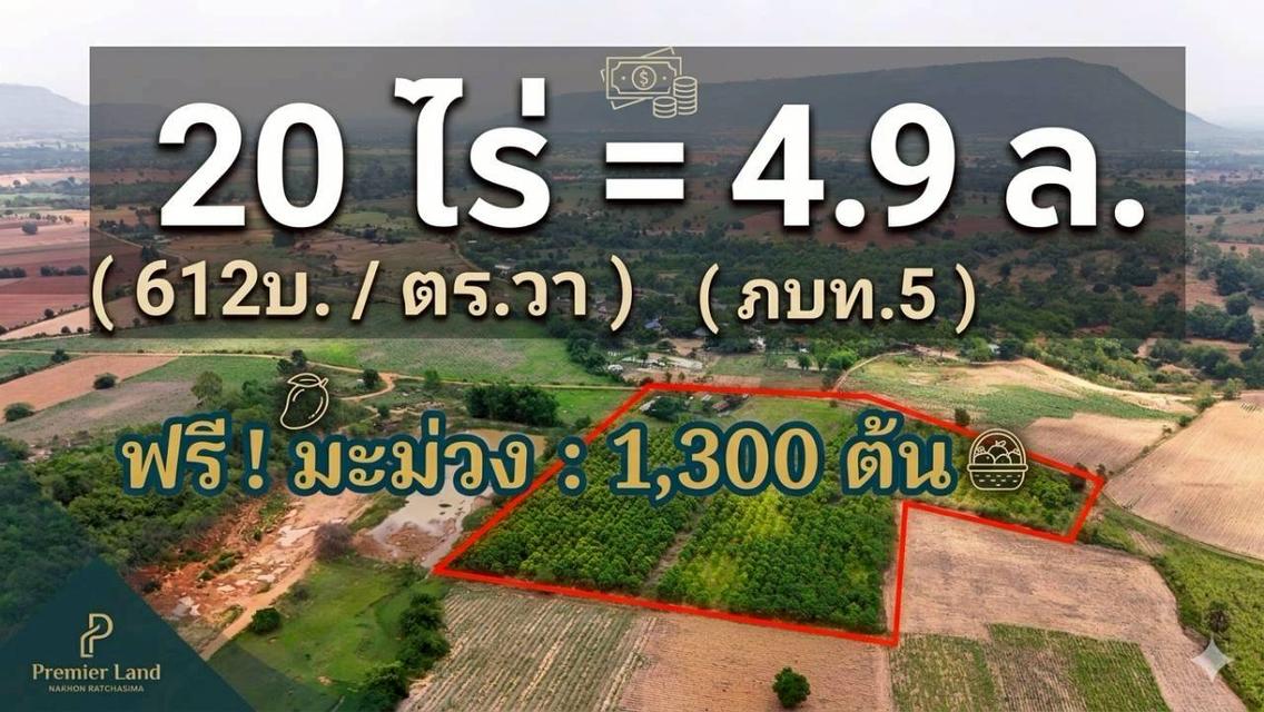 ขายที่ดินทางเลือก (ภบท5) ราคาจับต้องง่าย. ( 612บ./ ตร.วา ) ( 20 ไร่. : 4.9 ล้าน ) | ซื้อขาย เปลี่ยนชื่อได้ : พื้นที่. ปลอดภัยฯ หายห่วง | อากาศบริสุทธิ 1