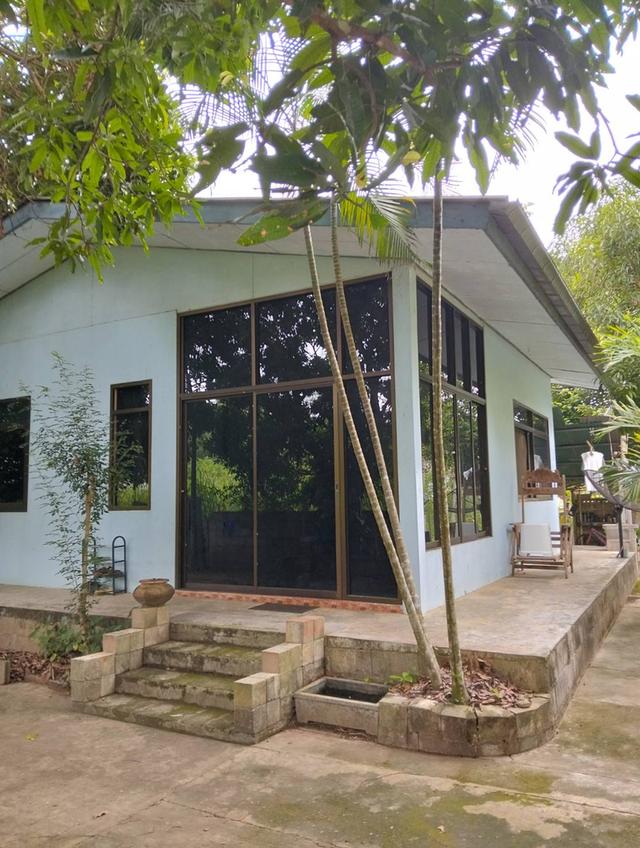 ขายบ้านพร้อมที่ดิน 3