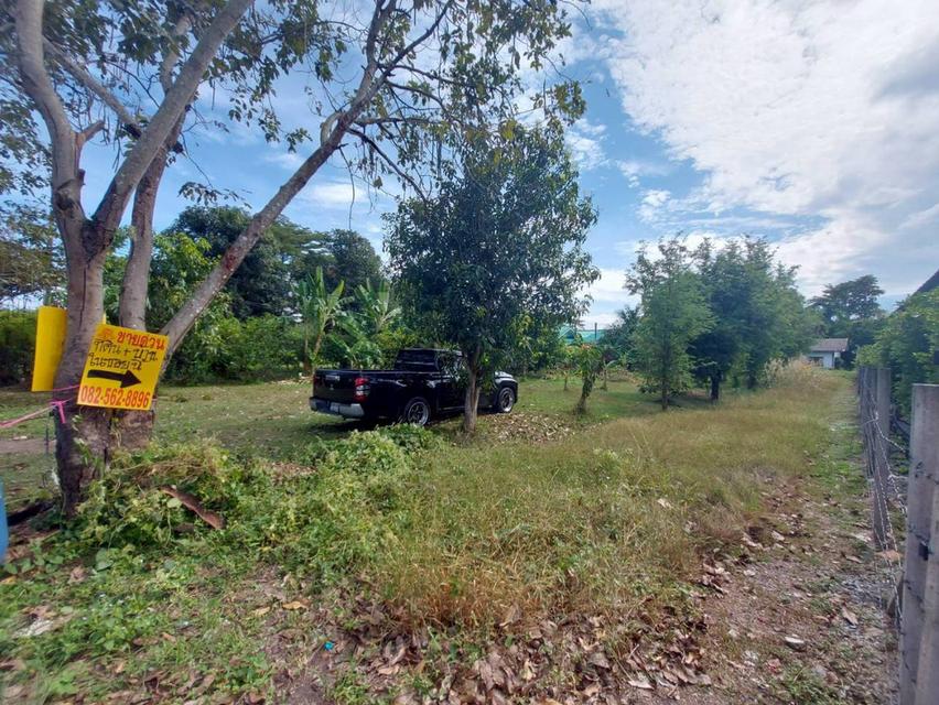 ขายที่ดินพร้อมสิ่งปลูกสร้าง ซอยหมู่บ้านธารทอง ใกล้โรงเรียนนายร้อยพระจุลจอมเกล้า 6