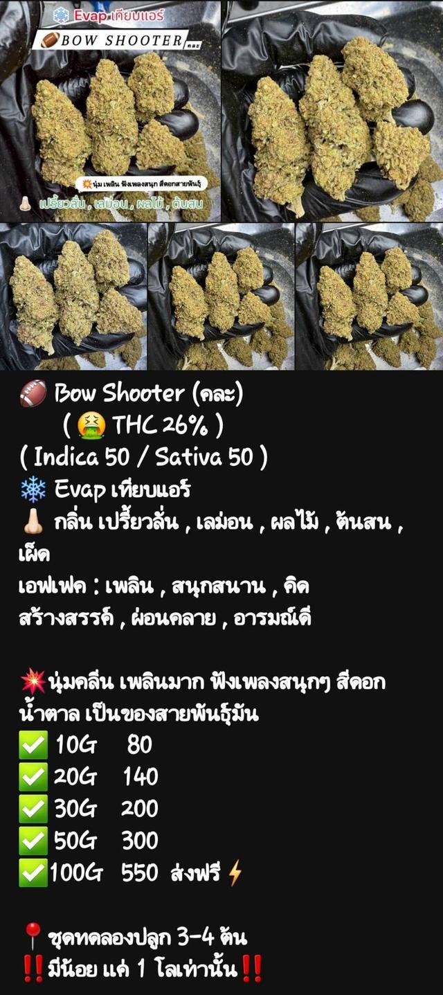 กัญๆ📲💯 13