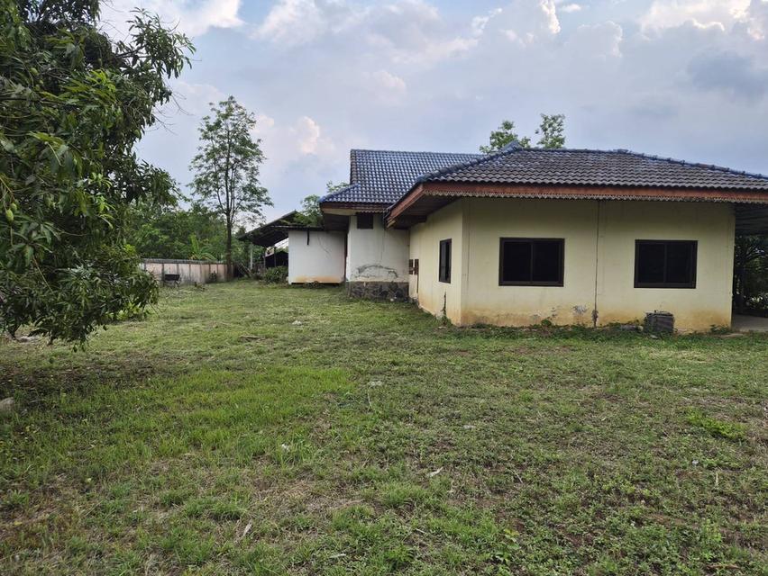 บ้าน บ้านเดี่ยวพร้อมที่ดิน 12