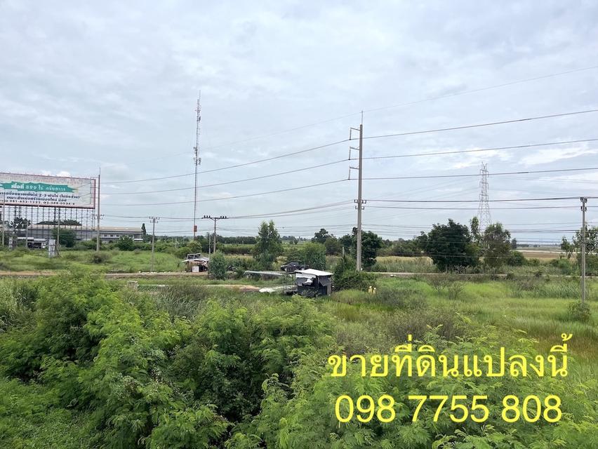 ขายที่ดินติดถนนสายเอเชีย ขาเข้ากรุงเทพ บางปะอิน อยุธยา 2