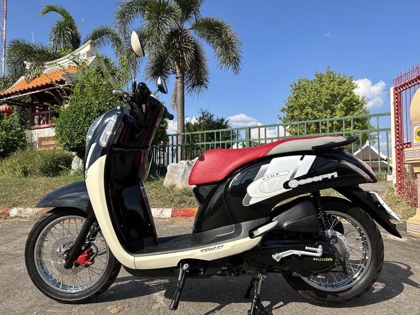 Scoopy I 2015 7