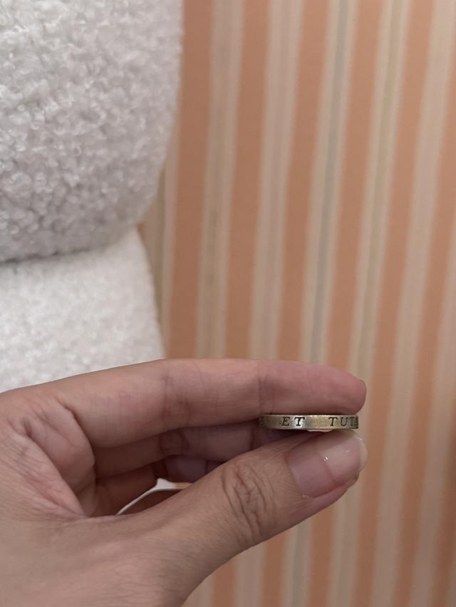 เหรียญสะสม 1 ปอนด์ 3