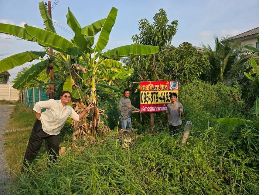 ขายด่วนทีดิน 50 ตารางวา ตรงข้ามบีสมาร์ท พลาซ่า ซอย ทรัพย์รุ่งโรจน์ อ.เมืองนนทบุรี จ.นนทบุรี 1