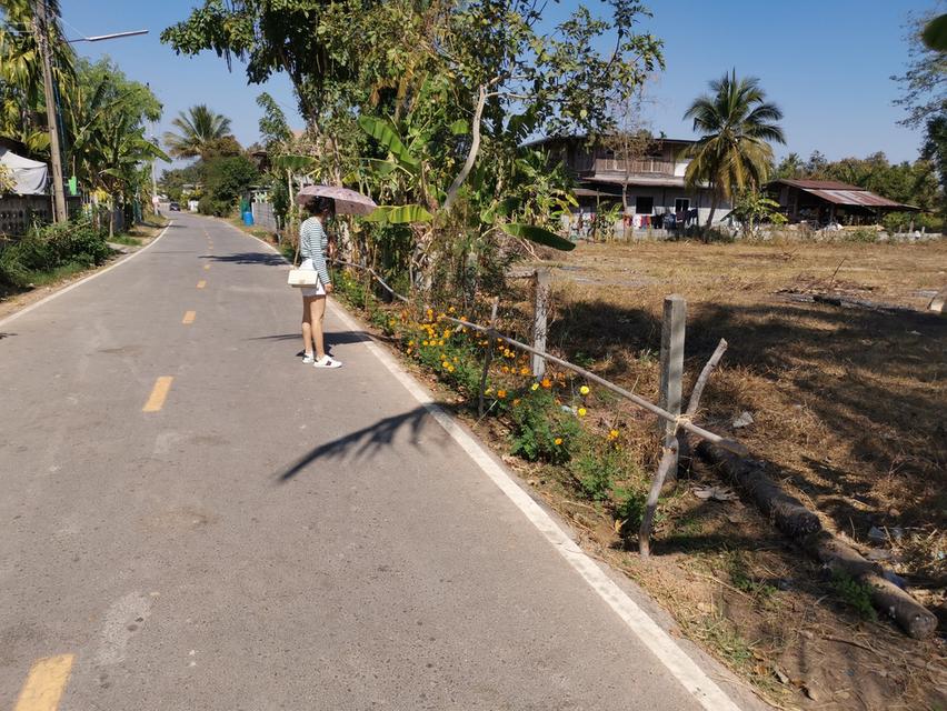 ที่ดินเปล่าถมแล้ว ต.ในเมือง จ.ร้อยเอ็ด เจ้าของขายเอง 9