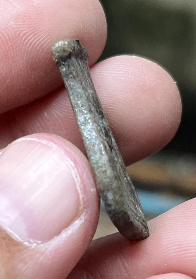 เหรียญคอน้ำเต้าหลวงพ่อน้อย 3