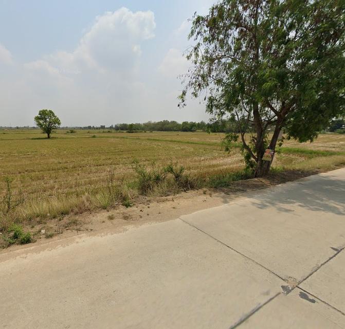  ที่ดินสวย ทำเลทอง ในพนัสนิคม ชลบุรี 3