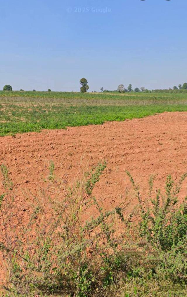 ขายที่ดินตำบลลุงเขว้าหนองบุญมากจังหวัดนครราชสีมา พื้นที่ 105-0-90ไร่ ขายไร่ละ 220,000 บาทโฉนด 4