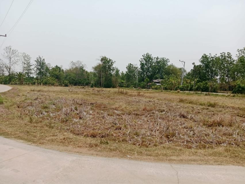 ที่ดินเจ้าของขายเอง ทั้ง3แปลง ครุฑแดง ใกล้โรงพยาบาล สถานศึกษา อำเภอ ที่ดิน สถานนีตำรวจ สามารถคุยโดยตรงกับเจ้าของที่ได้เลย ที่อยู่ จ.ลำแาง 12