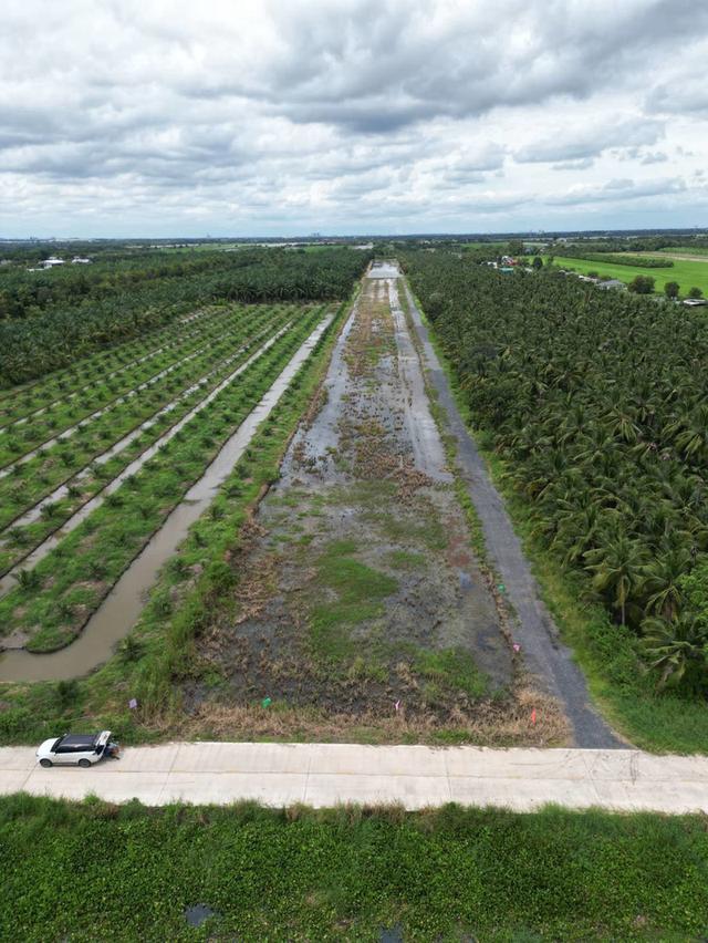 🌳 ขายที่ดินคลอง 8 ปทุมธานี ทำเลน่าสนใจ พื้นที่ครึ่งไร่ ราคาเพียง 680,000 บาท 17