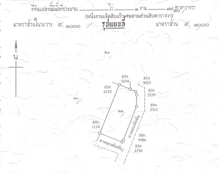 ขายที่ดิน ตำบล ท่าพล อ.เมืองเพชรบูรณ์ จ.เพชรบูรณ์ เนื้อที่ 1 งาน 79.3 ตารางวา 1