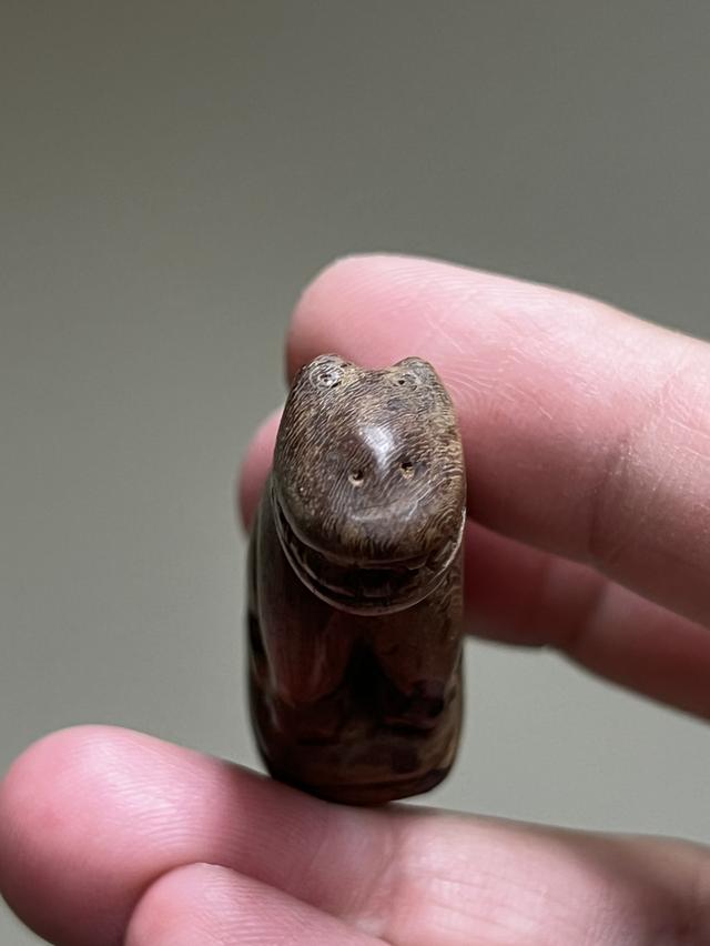 เสือไม้แกะเก่า  ก้นอุดคลั่ง รูปที่ 3