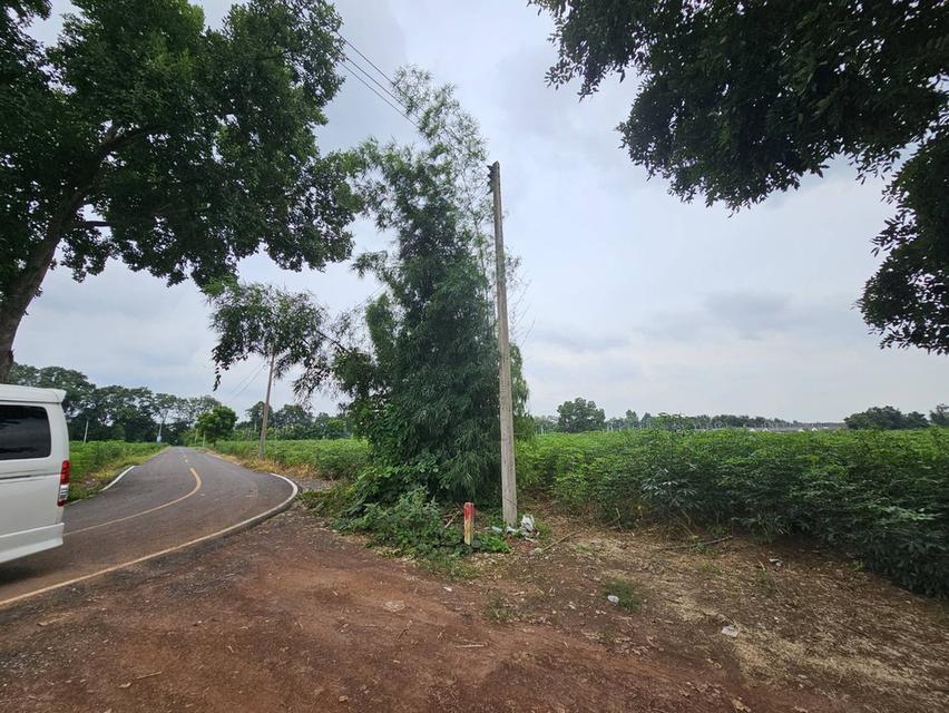 ขายที่ดินแปลงใหญ่ ทำเลดีติดหมู่บ้านจัดสรร ที่ดินจังหวัดปราจีนบุรี อำเภอศรีมหาโพธิ ตำบลท่าตูม 9