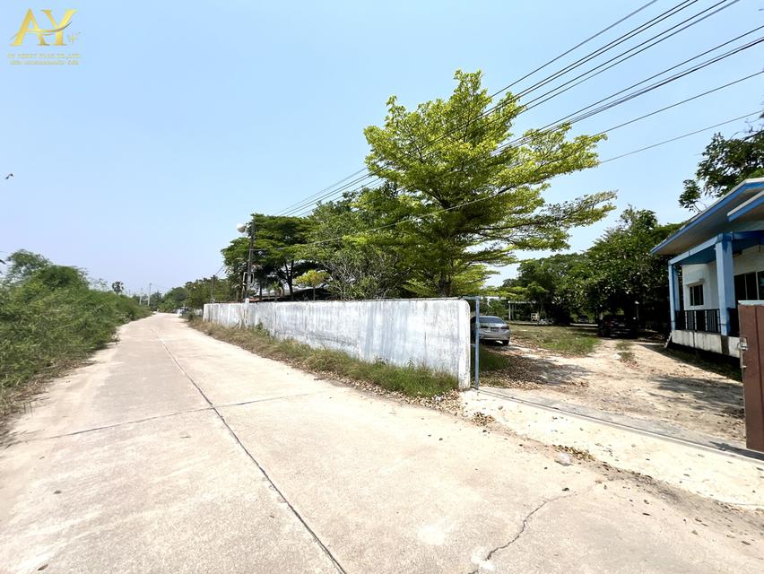 ที่ดิน+สิ่งปลูกสร้าง