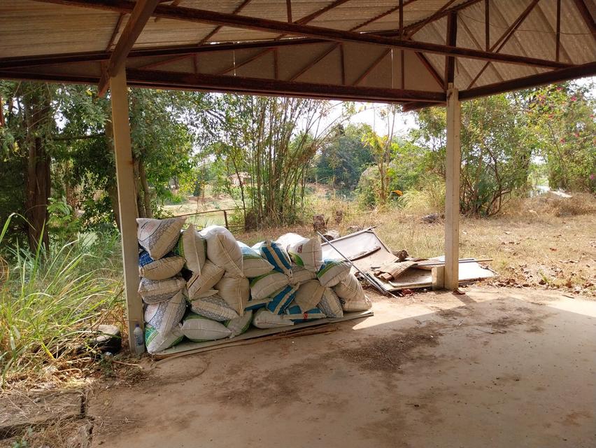 บ้าน2หลัง2แปลง พร้อมที่ดิน  2แปลง 3