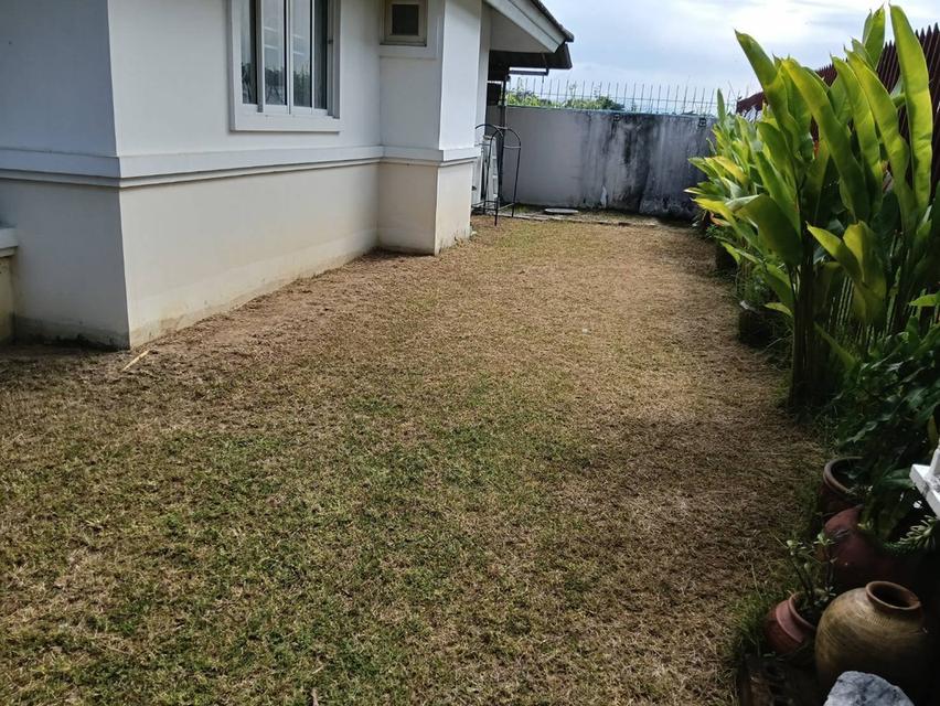 ขายบ้านพร้อมที่ดิน ต.สันกำแพง อ.สันกำแพง จ.เชียงใหม่ 4