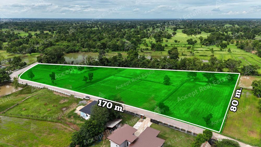 ขายด่วนที่นาแปลงสวย ทำเลดี เมืองพล ขอนแก่น พื้นที่ 10 ไร่ 2