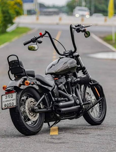 Harley Davidson Street Bob 2021  5