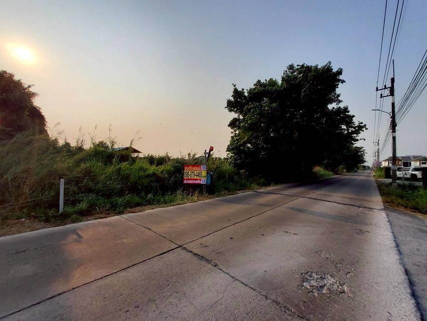 ขายด่วนที่ดิน 267 ตรว ติดถนนคอนกรีตสาธารณะ ซ.ดาวทอง 2 ศาลายา พุทธมณฑล นครปฐม 7