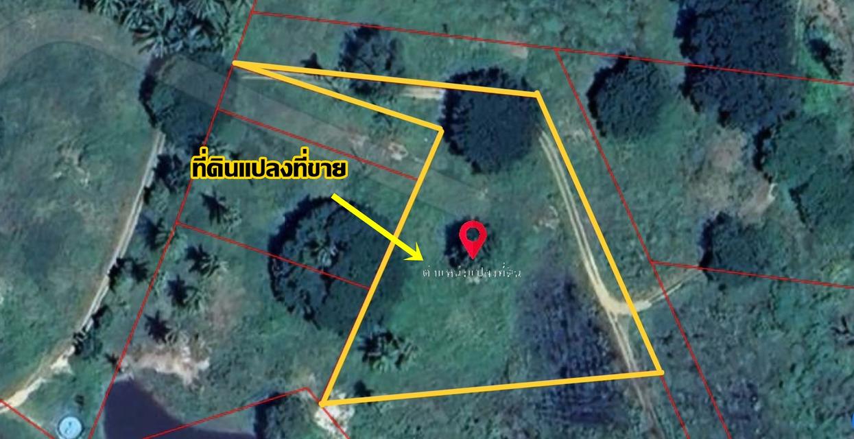 ขายที่ดินสวย ทำเลดี ติดคลองอ่างทอง ใกล้ชายทะเลทับสะแก ประจวบคีรีขันธ์ 13