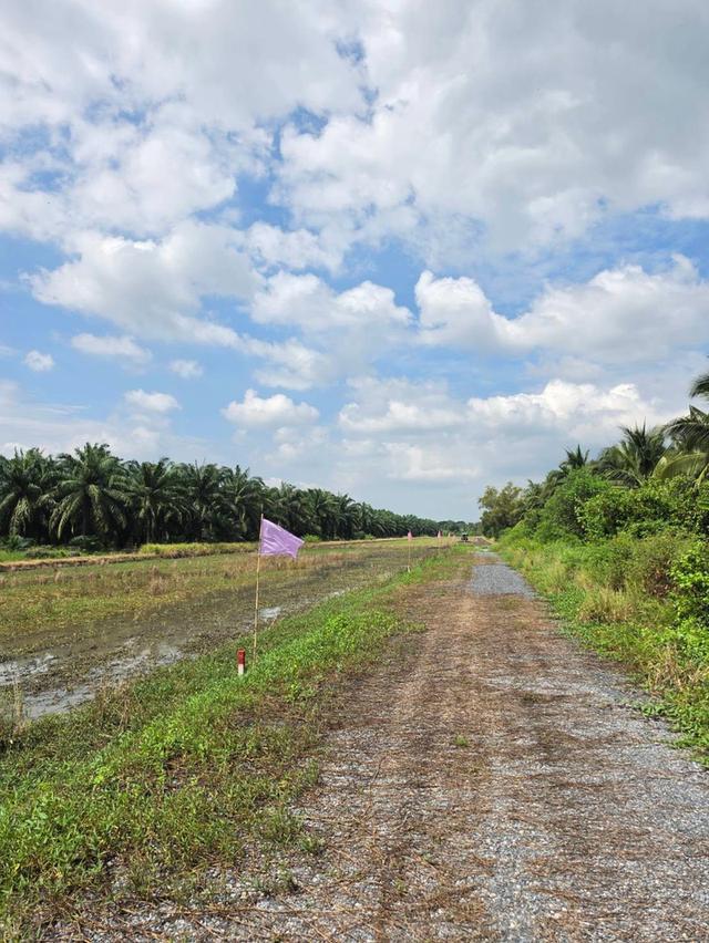 🌳 ขายที่ดินคลอง 8 ปทุมธานี ทำเลน่าสนใจ พื้นที่ครึ่งไร่ ราคาเพียง 680,000 บาท 16