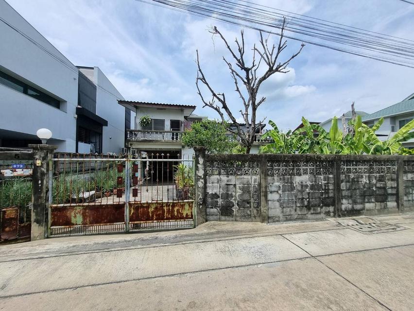ขายที่ดินศรีนครินทร์38 พัฒนาการ ใกล้รถไฟฟ้า BTSศรีนคิรนทร์ 500 ม. ใกล้ซีคอน แม็คโคร สวนหลวง ร.9 ออกได้ทั้งสุขุมวิท77 อ่อนนุช อุดมสุข บางนา 0879074045