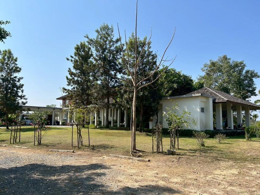 ขายบ้านและพร้อมที่ดิน 18