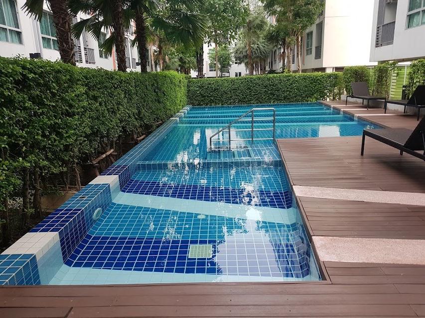 🏢 ขายด่วน! คอนโด The Niche ID พระราม 2 12