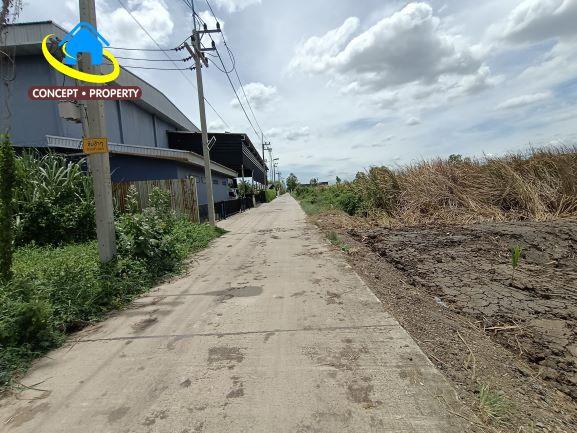 ขายที่ดิน 1 ไร่ ถึง 4 ไร่ ซอยไสวประชาราษฎร์ 45 ตำบลคลองสี่ อำเภอลำลูกกา จังหวัดปทุมธานี 2