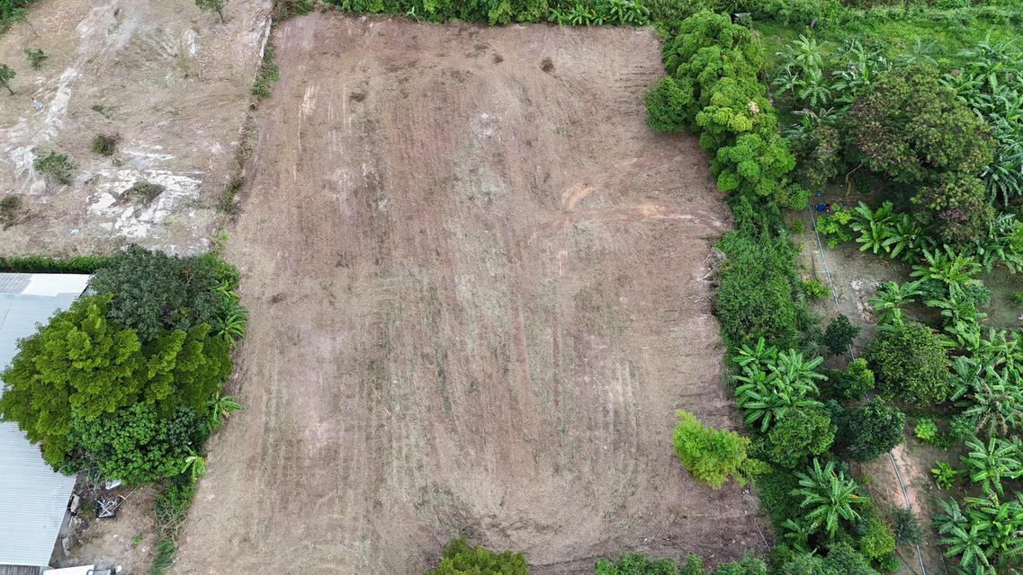 ที่ดิน ระยอง 3 ไร่ 395 ตารางวา 7